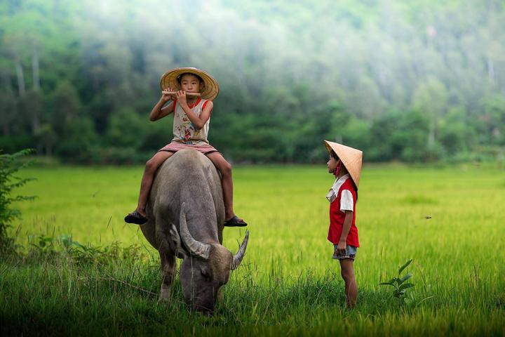 Sự Bùng Nổ Của Video Ngắn và Trí Tuệ Nhân Tạo: Vai Trò Thiết Yếu Của Đào Tạo Kỹ Năng Sáng Tạo Nội Dung_Phần mềm biên tập video miễn phí
