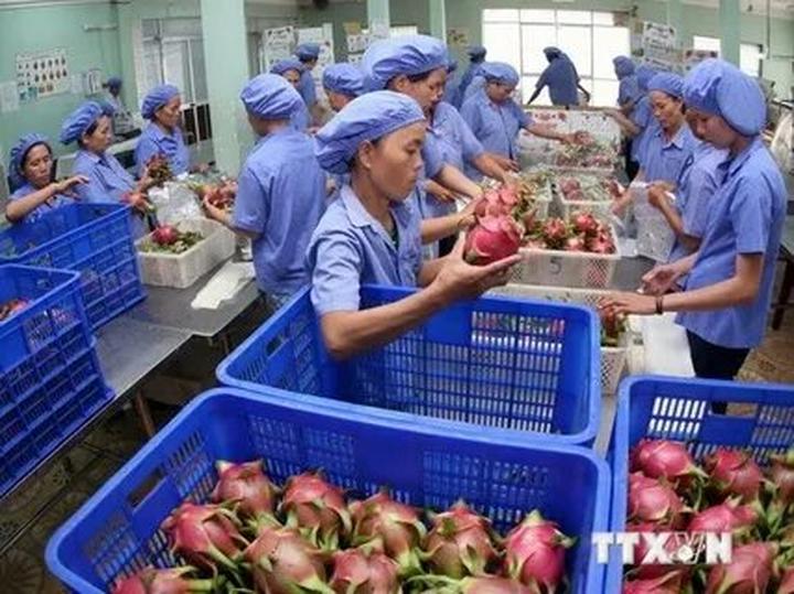 Cách Khởi Nghiệp Kiếm Tiền Bán Thời Gian Dành Cho Người Mới_cách làm video lan truyền